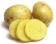 Bandeja Patata de Siembra Monalisa 100 unidades