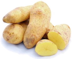 Bandeja Patata de Siembra Spunta 100 unidades