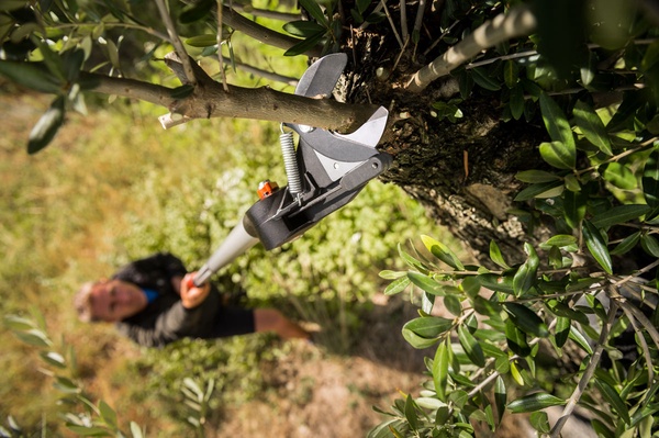 Tijera Pertiga Poda Altura con Mango Extensible Telescopico 230-400 cm Stocker