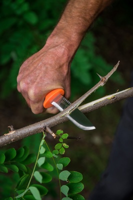 Cuchillo Universal Xl con Funda