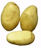 Patata Siembra Baraka 35/55 25 kg