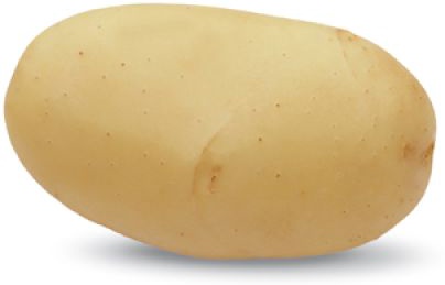 Patata Siembra 50/55 Caesar 25 kg