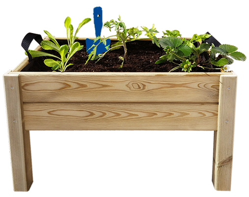 Kit Iniciacion Cultivo Leo