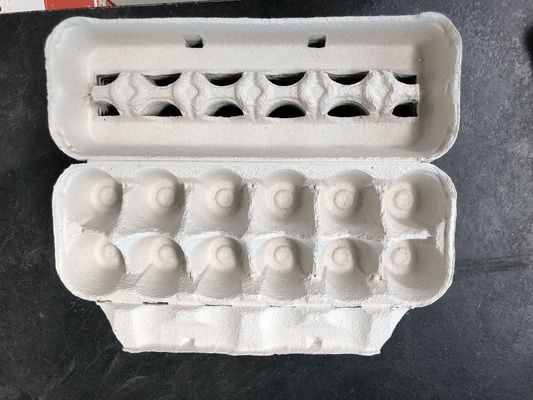 Huevera Carton Pack Ahorro 140 Unidades