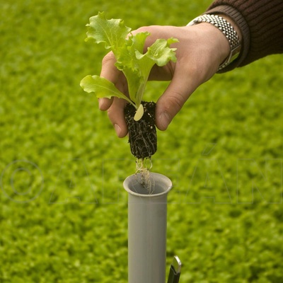 Plantadora Peque�o Multi Planter