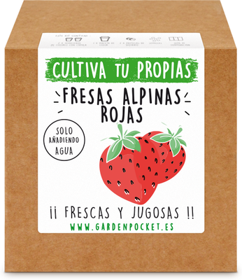 Kit Brotes Pocket Fresas Rojas