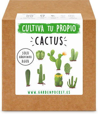 Kit Brotes Pocket Cactus