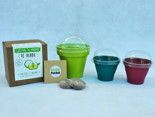 Kit Brotes Pocket Cactus