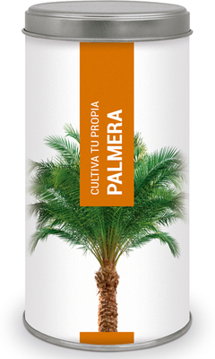 Kit Cultiva Tu Propia Palmera
