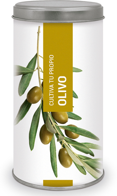 Kit Cultiva Tu Propio Olivo