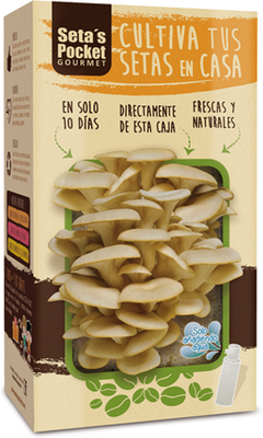 Setas Pocket Gourmet Setas Pocket Gourmet