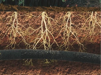 Manguera Sudoracion 1/2 15 Metros