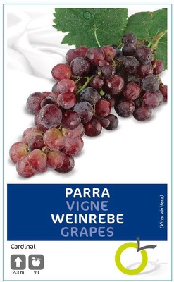 Parra Arbol Cardinal