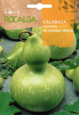 Semilla Calabaza del Peregrino 5 gr