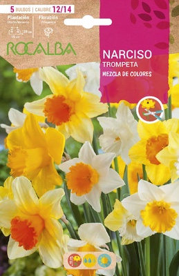 Bulbos Narciso Variedad Trompeta 12/15 Mezcla de Colores