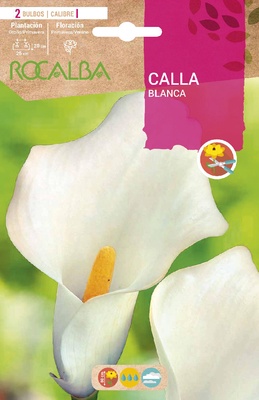 Bulbo Callas Blanco