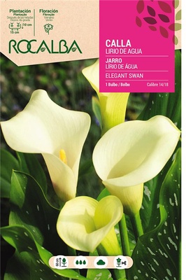 Bulbo Callas 14/18 Elegant Swan Blanco Bulbo Callas 14/18 Elegant Swan Blanco