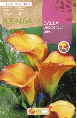 Bulbo Callas 14/18 Selina Amarillo con Rojo