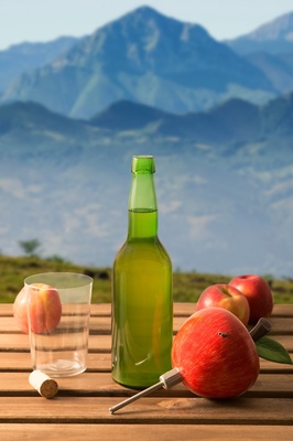 Escanciador Electrico La Manzana