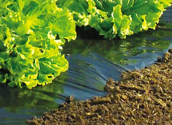 Film de Acolchamiento Especial Huerto Terrafilm 1,40x10mt