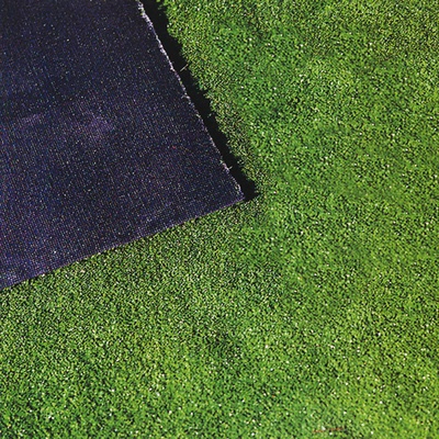 Moqueta Cesped Lubeck 7 mm 2x5 metros