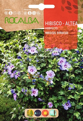Semilla Hibisco Altea -hibiscus Syriacus-