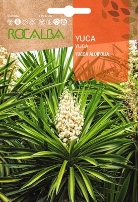 Semilla Yuca -yuccca Aloifolia-