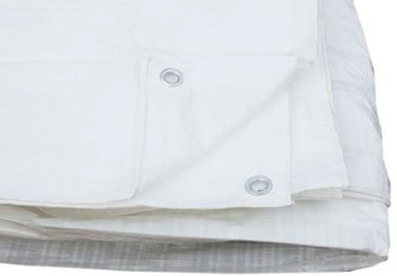 Toldo Reforzado con Ojales Blanco 5*8m