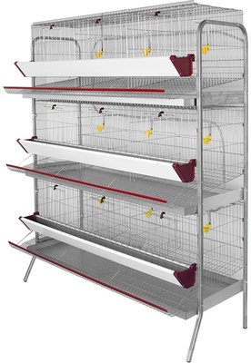 Bateria Exposicion Gallinas Ponedoras