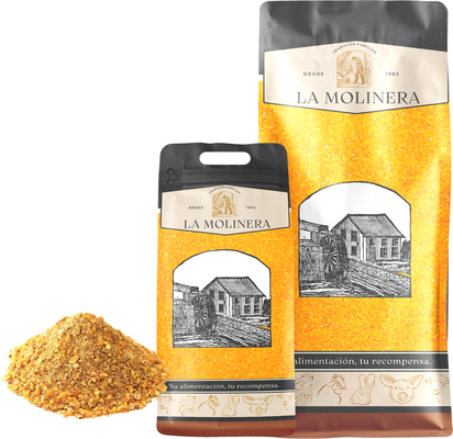 Ponedora para Gallinas la Molinera