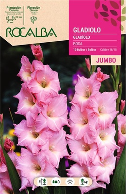 Bulbos Gladiolos Jumbo Rosa Bulbos Gladiolos Jumbo Rosa