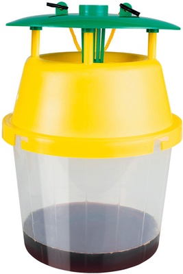 Preben Trampa Avispa Velutina Preben Trampa Avispa Velutina