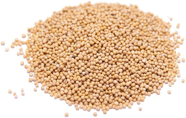 Semilla Mostaza Blanca 1 Kg