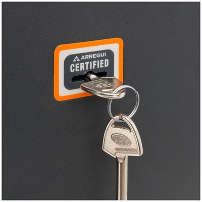 Caja Fuerte Sobreponer Plus c Llave 250x350x250