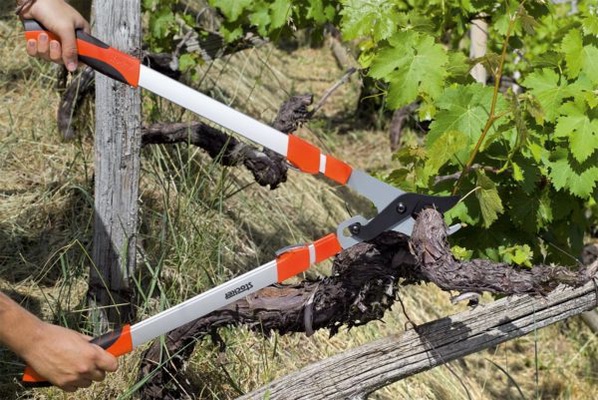 Tijera Cortarramas Telescopico Bypass 75-100 cm