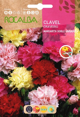Semilla Clavel Margarita Doble, Variado
