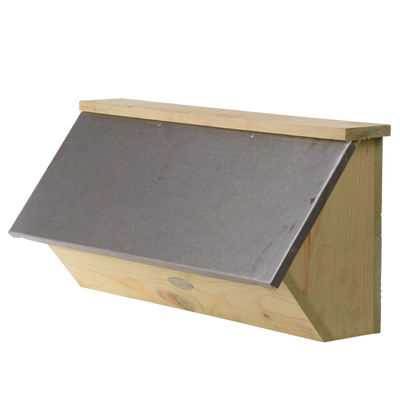 Caja Nido Vencejo Comun