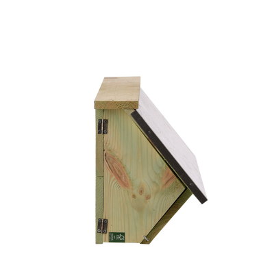 Caja Nido Vencejo Comun