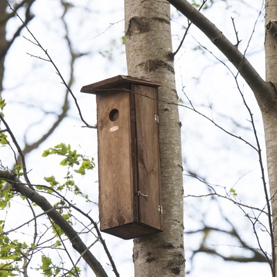 Caja Nido para Pajaro Carpintero 