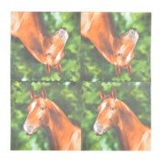 Servilletas de Papel Caballo 33x33cm