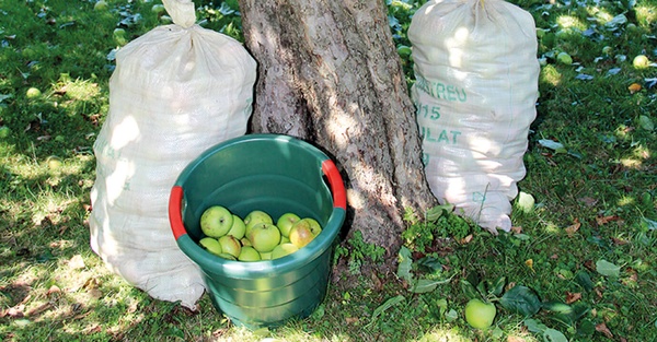 Cesto Multiusos Toni 30 l