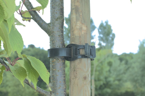 Abrazadera Entutorado Arbol 45 cm 