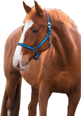 Cabezada Caballo Nylon Marino/Azul Talla Full 3