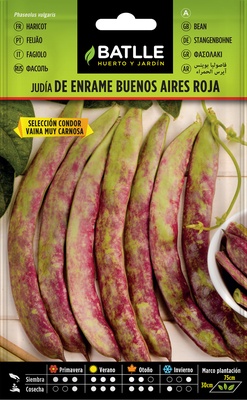 Judia De Enrame Buenos Aires Roja 250 gr