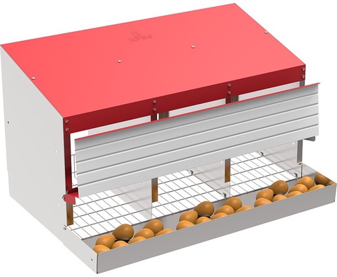 Ponedero Aves 3 Departamentos Suelo Alambre