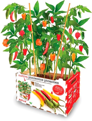 Kit Huerto Batlle Premium Pimientos Picantes