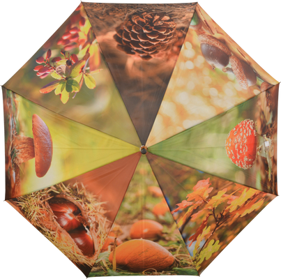 Paraguas Dise�o Oto�o