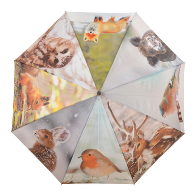 Paraguas Dise�o Invernal