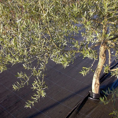 Malla Antihierba Verde 2x10