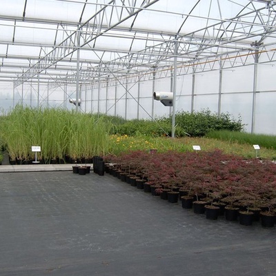 Malla Antihierba Verde 2x10